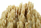 Fascinating, Calcite/Aragonite Stalactite Formation - China #377336-3